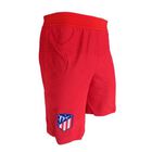 1st Home Alternative Game Pants 21-22